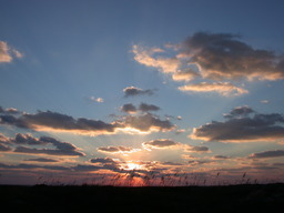 dscn4429.jpg