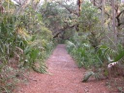 dscn4434.jpg