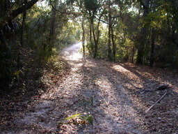 dscn4435.jpg