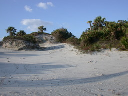dscn4438.jpg