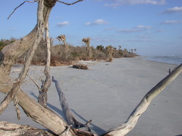 dscn4440.jpg