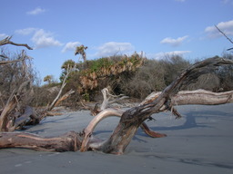 dscn4449.jpg