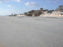 dscn4450.jpg