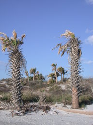 dscn4454.jpg