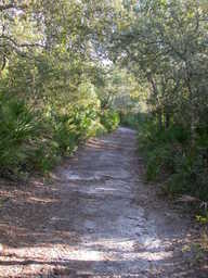 dscn4456.jpg
