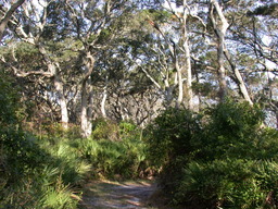 dscn4457.jpg