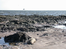 dscn4463.jpg