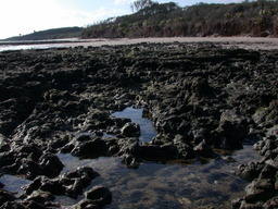 dscn4470.jpg