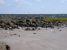 dscn4473.jpg