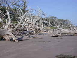 dscn4484.jpg