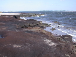 dscn4488.jpg