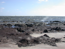 dscn4492.jpg