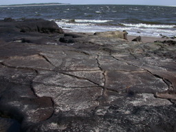 dscn4497.jpg
